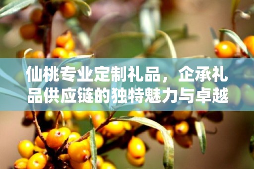 仙桃专业定制礼品，企承礼品供应链的独特魅力与卓越服务